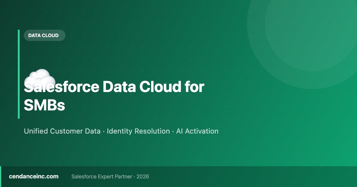 Salesforce Data Cloud for SMBs | Cendance